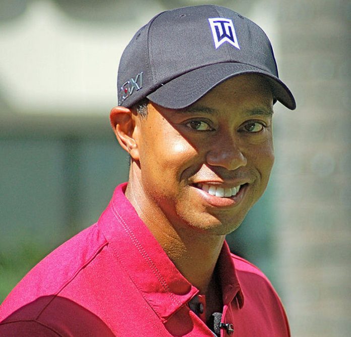 woods