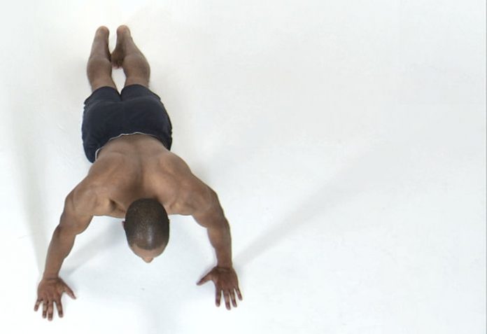 muscle