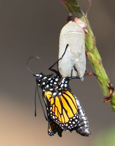  Shift Yourself From Observer to Participant