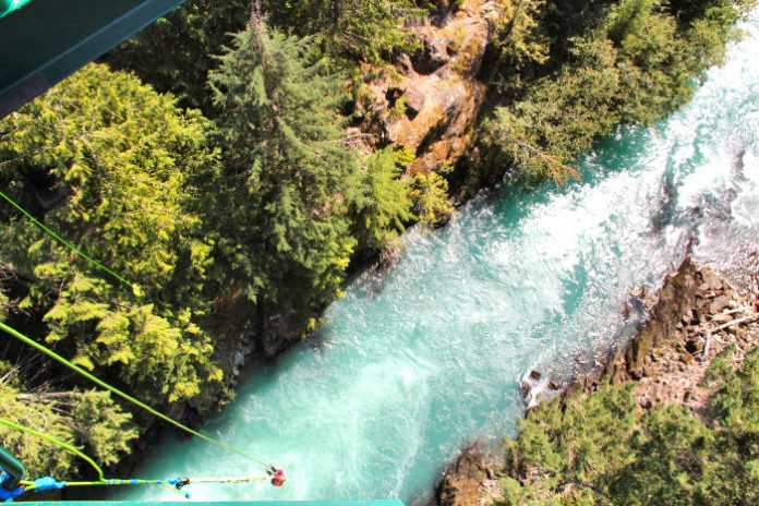 bungee