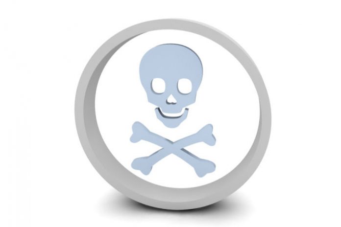 bones
