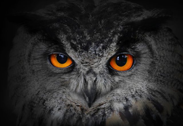  6 Reasons Why Productivity Belongs To The Night Owls