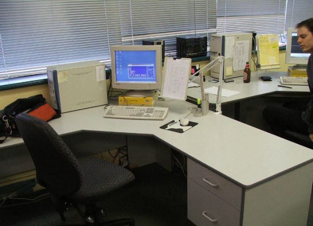  Maximize Your Mind in the Work Environment