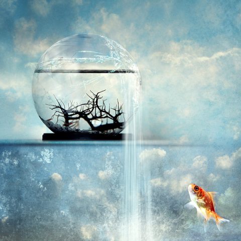  3 Simple Phrases to Transform Your Thinking
