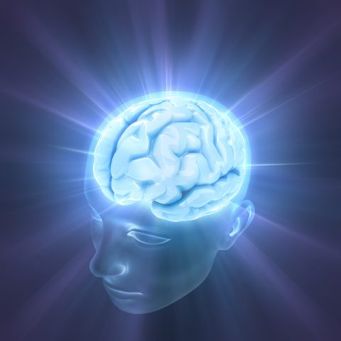  Hack your Brain and Increase your Memory Power
