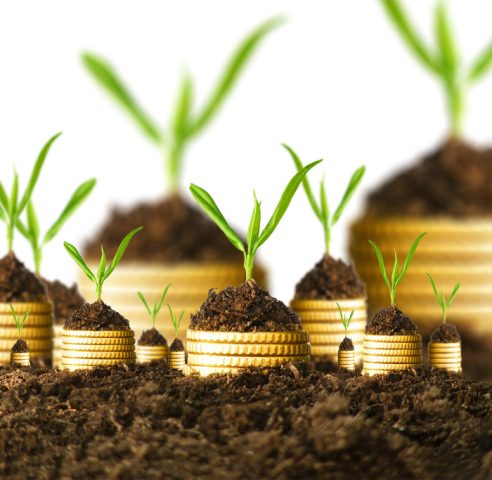  How to Make Extra Cash From Your Hobbies: Three Easy Steps