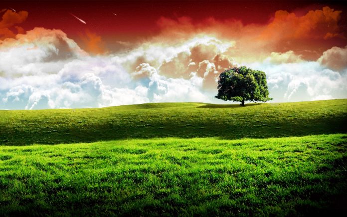 9-india-wallpaper