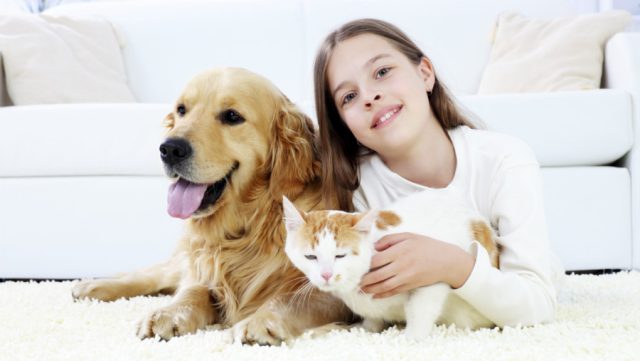4 Tricks To Turn Your Buyers Into Loyal Customers