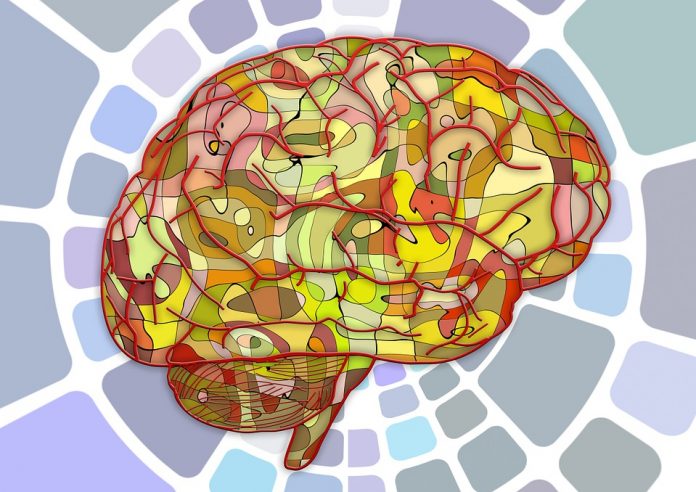 brain-951847_960_720