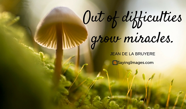 miracle quote