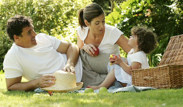 healthy-food-picnic