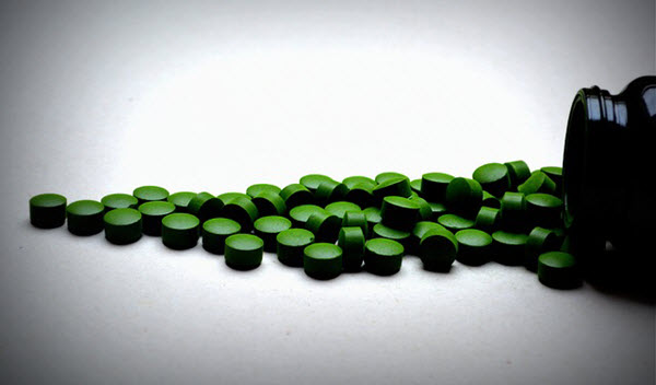 chlorella