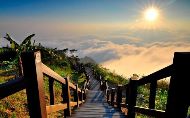 Follow Your Bliss