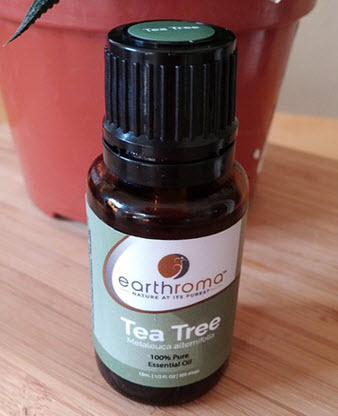 tea-tree-oil