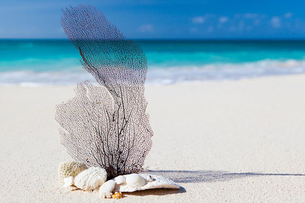 beach walking