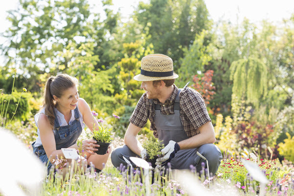 gardening