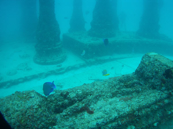 memorial reefs in the ocean