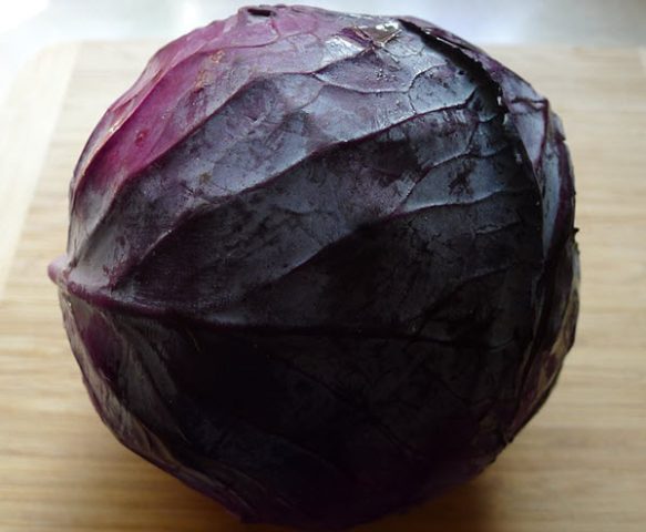 red cabbage benefits