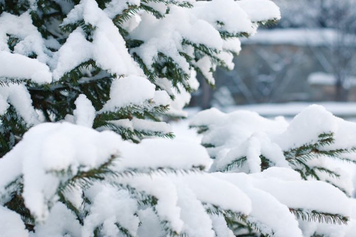 skin-care-in-winter