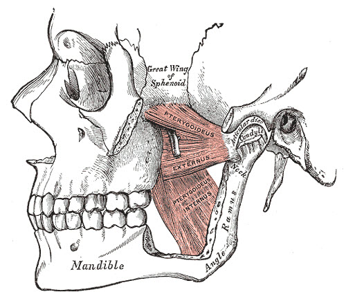 temporomandibular joint disorder