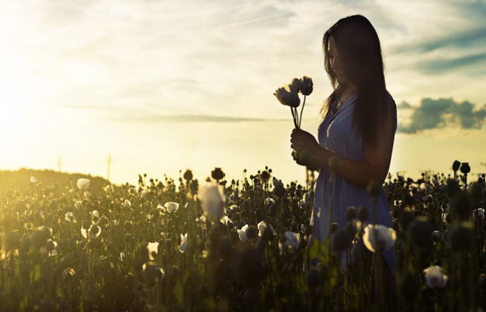 simplify your life