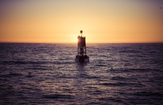  How to Find your Buoy of Safety When You are Drowning in Fear