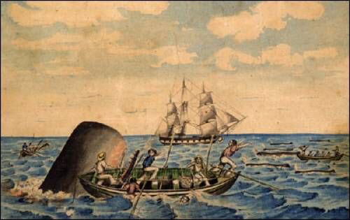 essex whaling disaster