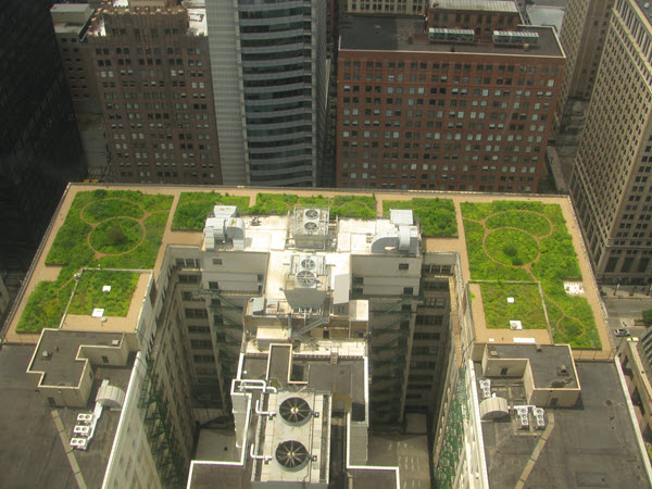 chicago cityhall green roof