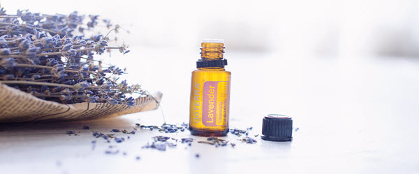 lavender oil