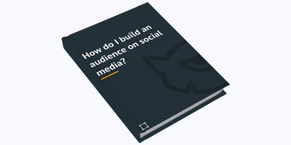 how do i build an audience on social media ebook