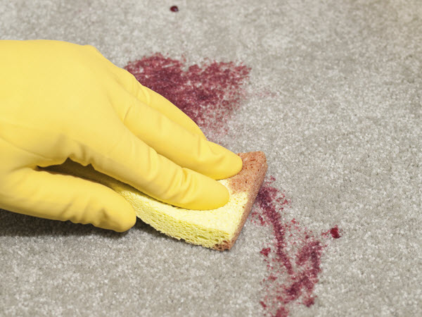 blood spill on carpet