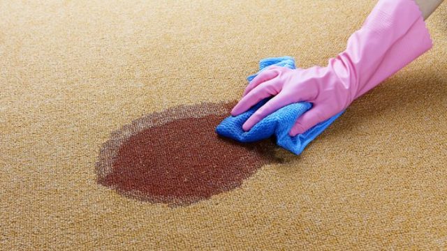  A Quick Guide on How to Clean Up Blood Spills Properly