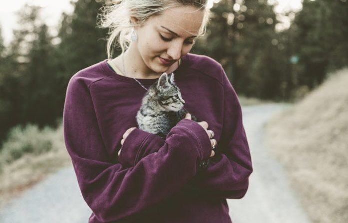 how to make your cat internet famous