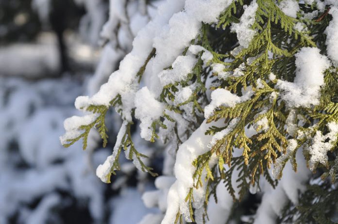 snow removal tips snow removal tips