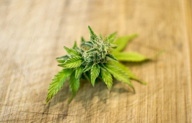 what does cbd treat