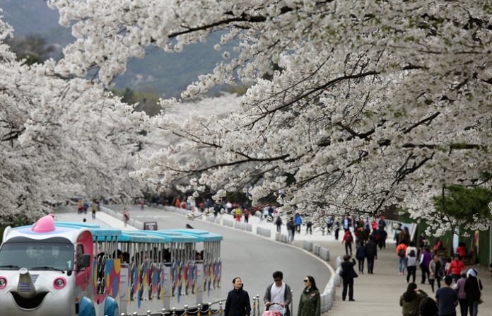 why visit seoul why visit seoul