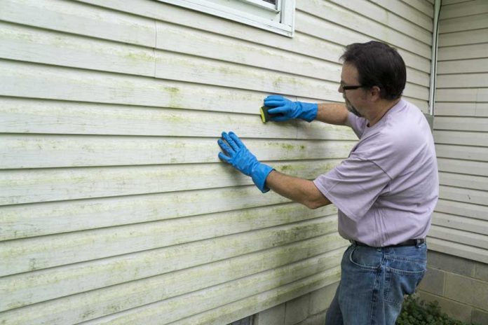 cleaning-vinyl-siding