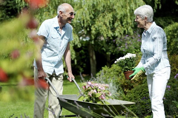 gardening business for retired couple