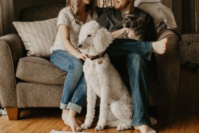  Balancing Your Lifestyle With Your Pet