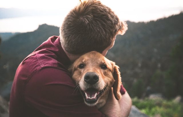  7 Ways Pets Affect Emotional and Physical Health