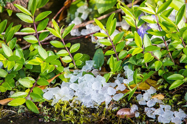 hail storm