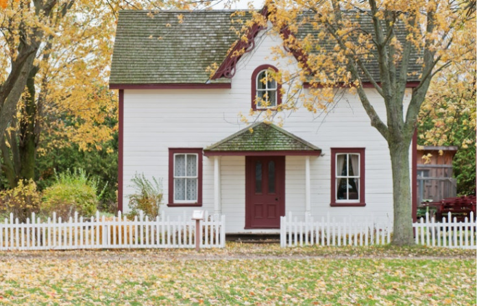 mold inspection before buying a house