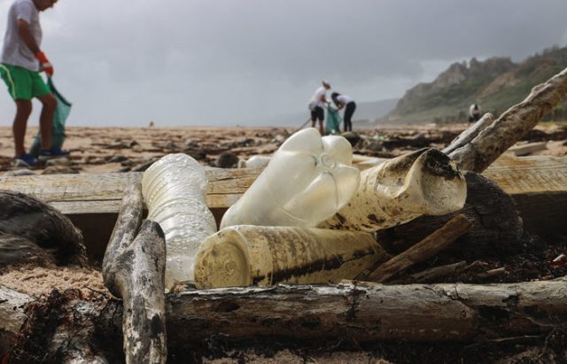 the ocean cleanup project