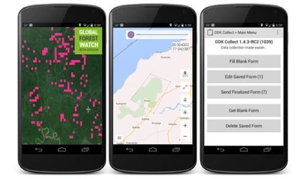 global forest watch app
