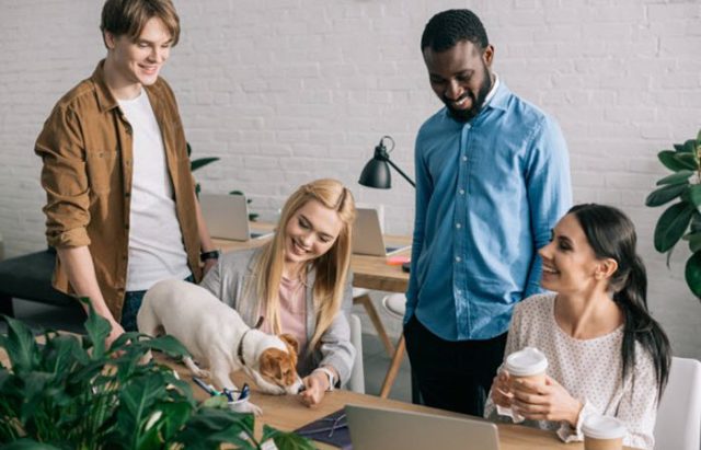 dogs in the workplace