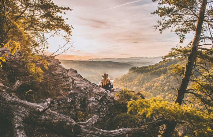 what does nature teach us what does nature teach us