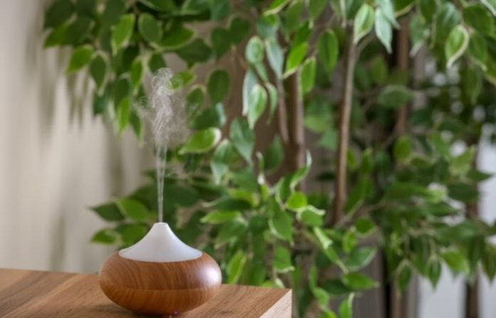 getting rid of mosquitos how to get rid of mosquitos indoors