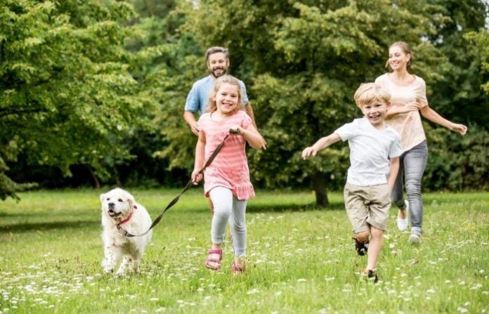 pet activities for kids pet activities for kids