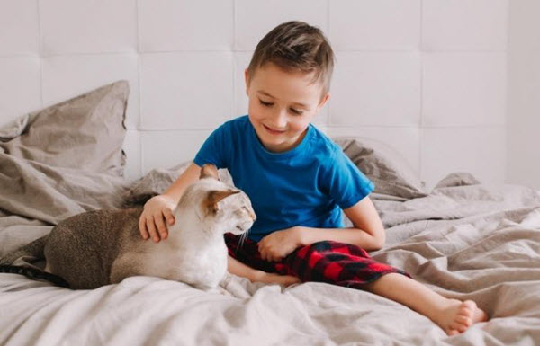 pet activities for kids and cats