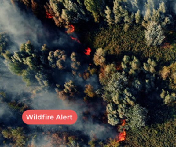chooch wildfire alert